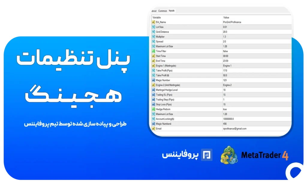 پنل تنظیمات هجینگ