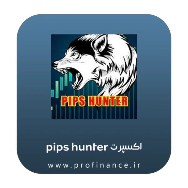 اکسپرت Pips Hunter