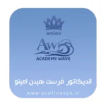 اندیکاتور فرست هیدن امینو